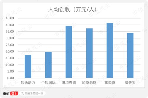 軟通動力 私有化后的曲折上市路，軟件外包巨頭能否借注冊制圓夢？